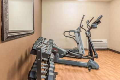 Comfort Inn Lancaster County - image 6