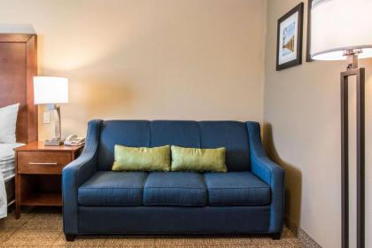 Comfort Inn Lancaster County - image 7