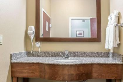 Comfort Inn Lancaster County - image 8