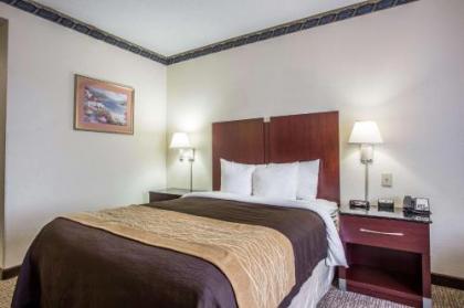 Comfort Inn & Suites Ft.Jackson Maingate - image 4