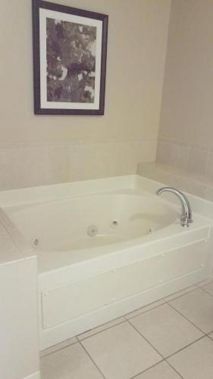 Best Western Plus Dutch Haus Inn and Suites - image 4