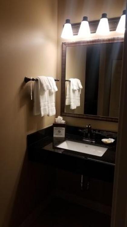 Best Western Plus Dutch Haus Inn and Suites - image 6