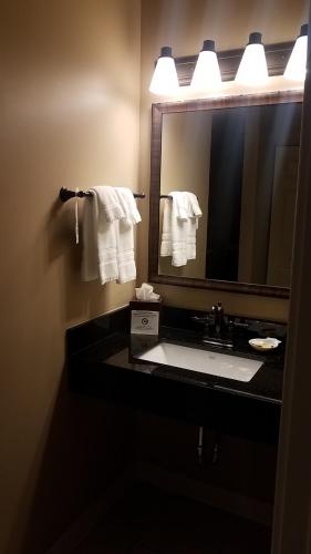 Best Western Plus Dutch Haus Inn and Suites - image 6