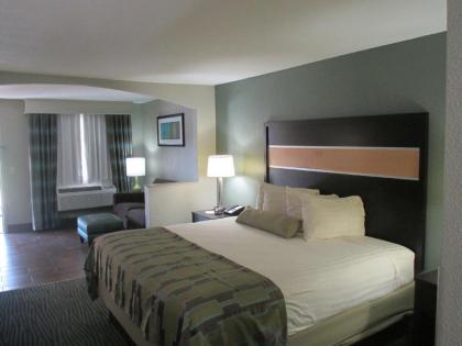 Best Western Executive Suites - image 8