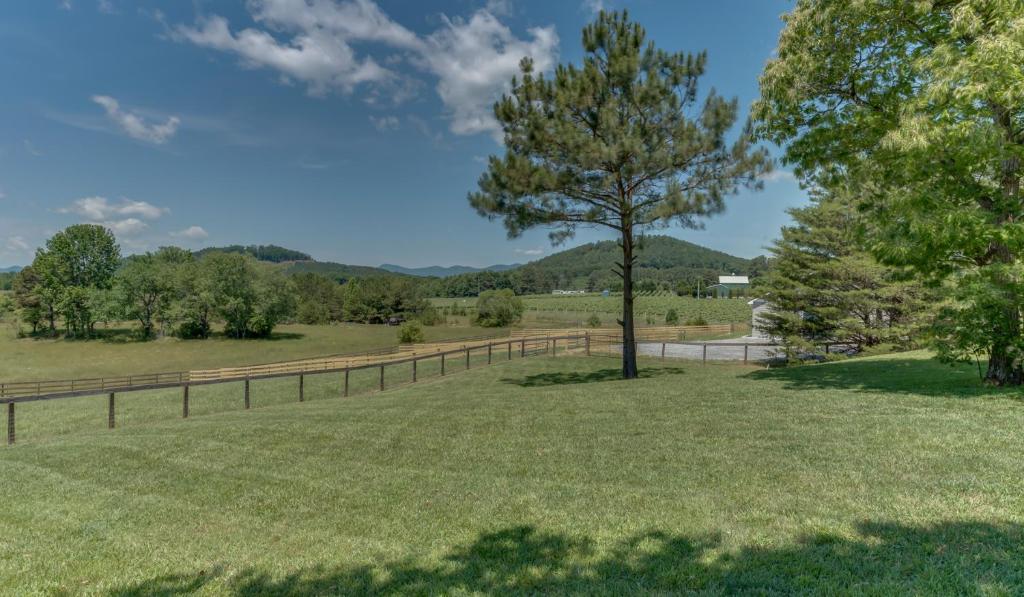 Horseshoe Hill - image 4