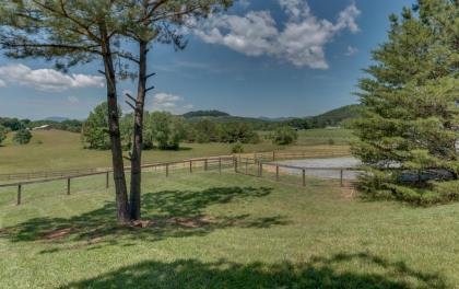 Horseshoe Hill - image 5