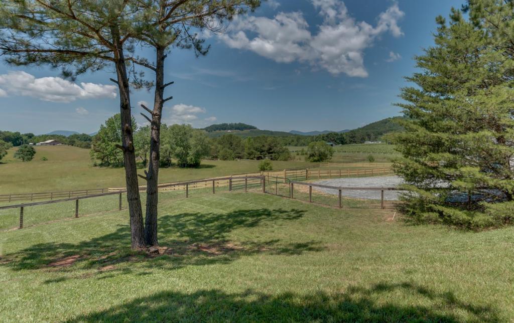 Horseshoe Hill - image 5