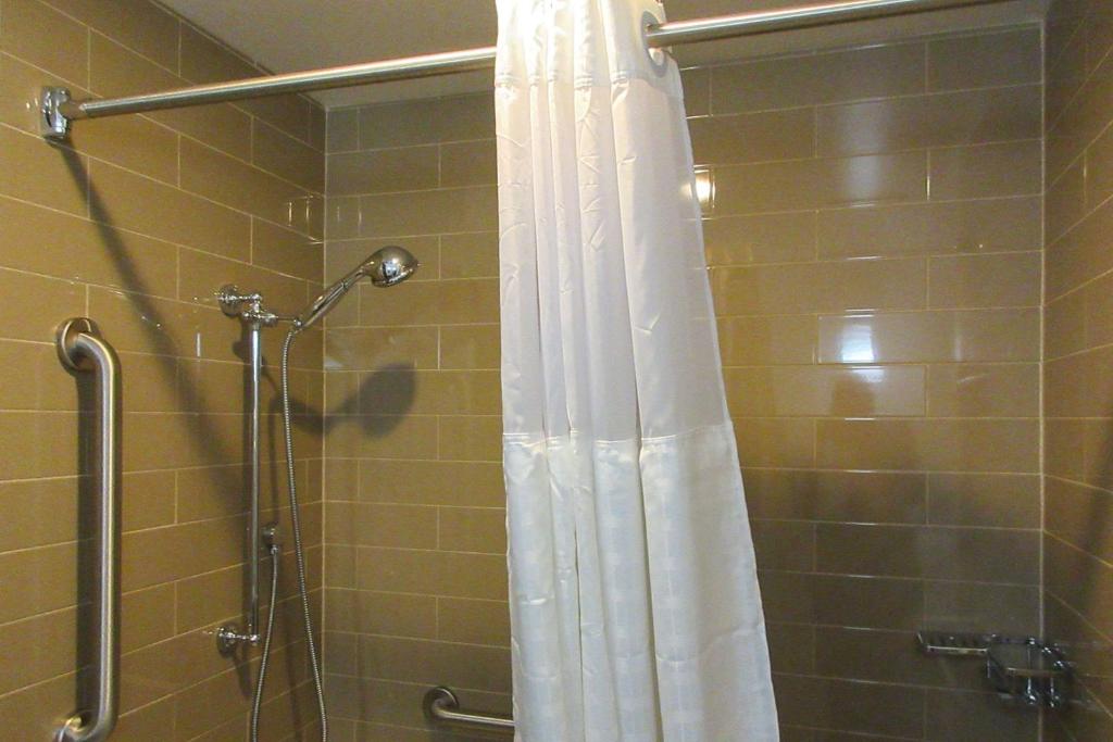 Comfort Inn - image 6