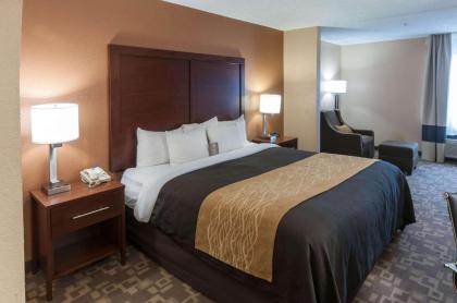 Comfort Inn Conroe - image 4