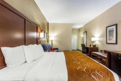 Comfort Suites At the University - image 13