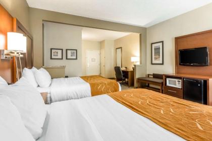 Comfort Suites At the University - image 15
