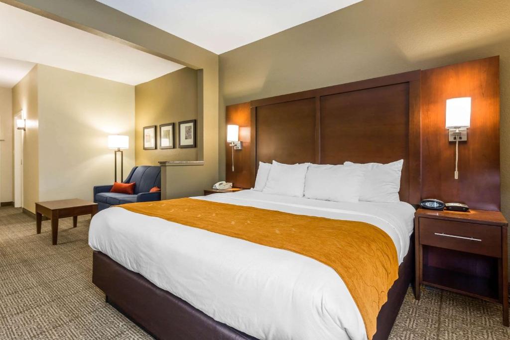 Comfort Suites At the University - image 2