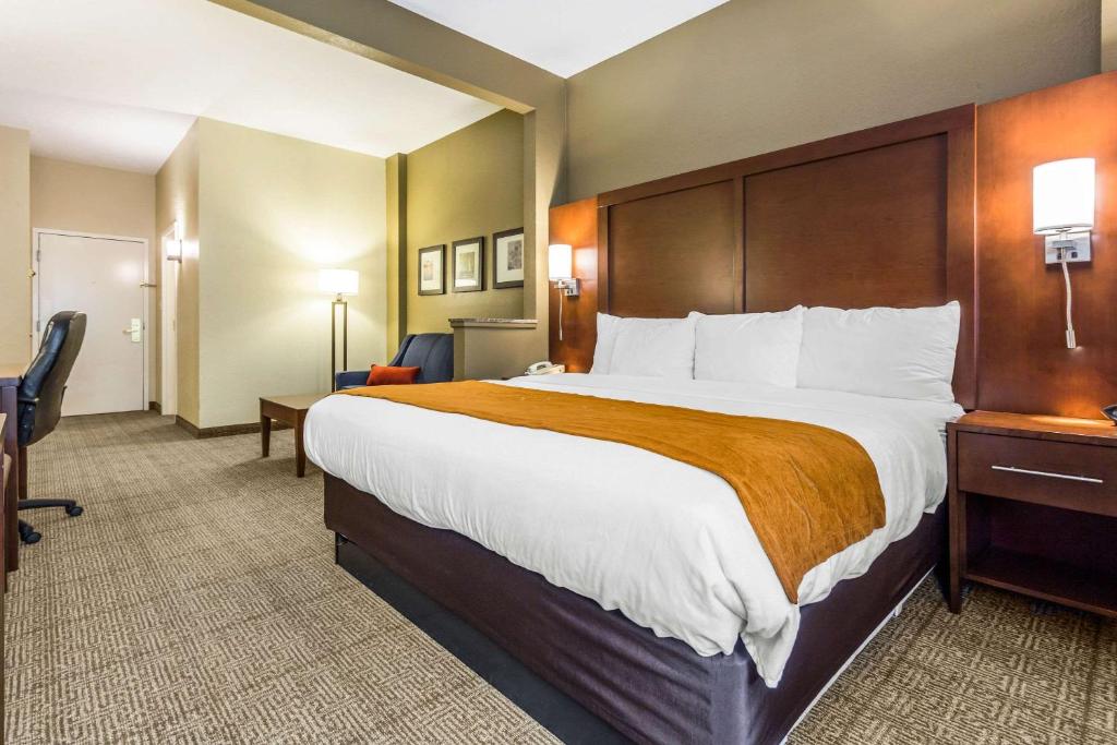 Comfort Suites At the University - image 3