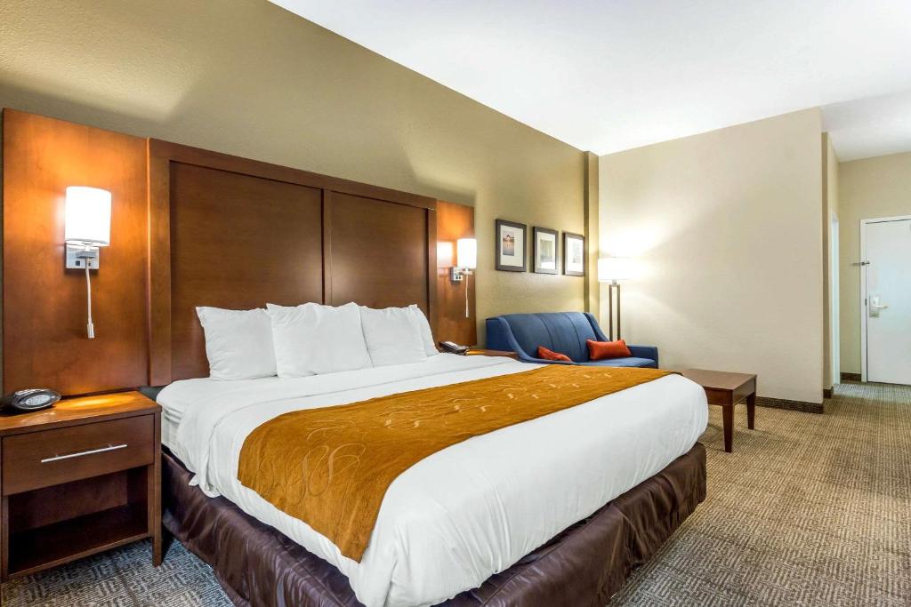 Comfort Suites At the University - image 5