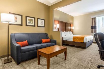 Comfort Suites At the University - image 6
