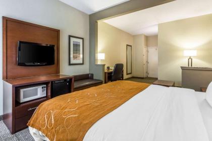 Comfort Suites At the University - image 8