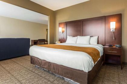 Comfort Suites At the University - image 9