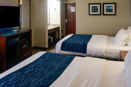 Comfort Inn & Suites Conway - image 8