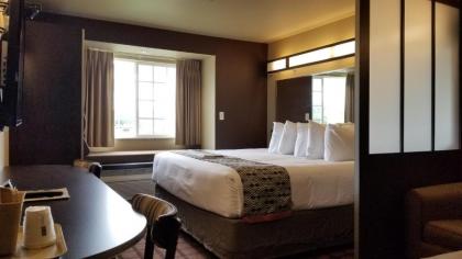 Microtel Inn & Suites By Wyndham Conway - image 4