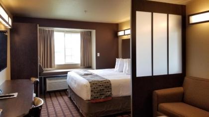 Microtel Inn & Suites By Wyndham Conway - image 5