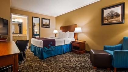 Best Western Conway - image 9