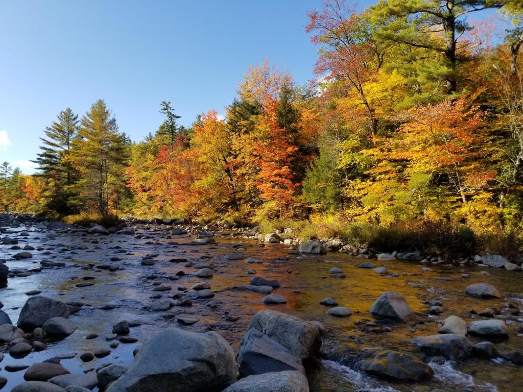 Kancamagus Swift River Inn - image 6