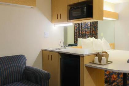 Microtel Inn & Suites-Conyers - image 4