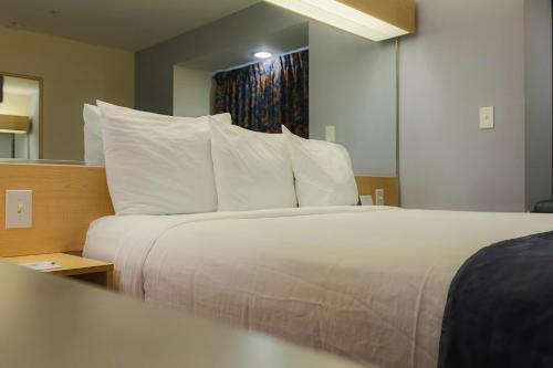 Microtel Inn & Suites-Conyers - image 6