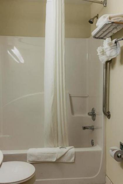 Microtel Inn & Suites-Conyers - image 9