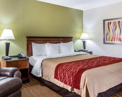 Comfort Inn Conyers - image 13