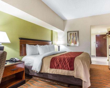 Comfort Inn Conyers - image 15