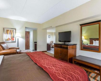 Comfort Inn Conyers - image 4