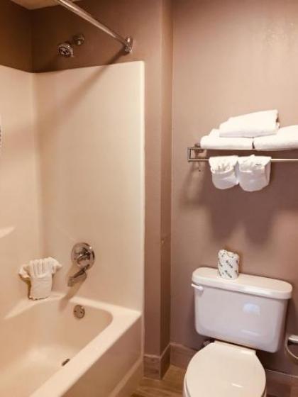 Hawthorn Suites by Wyndham Conyers Ga - image 3