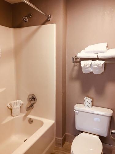 Hawthorn Suites by Wyndham Conyers Ga - image 3