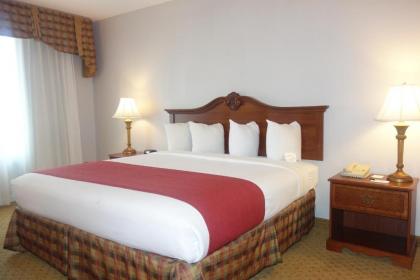 Country Inn & Suites by Radisson Conyers GA - image 5