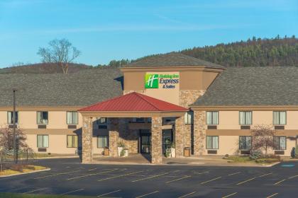 Holiday Inn Express & Suites Cooperstown an IHG Hotel - image 11