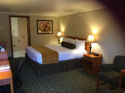 Best Western Holiday Hotel - image 10