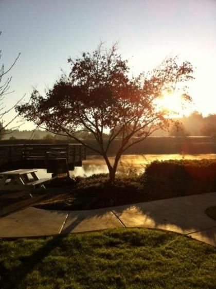 Edgewater Inn Coos Bay - image 10