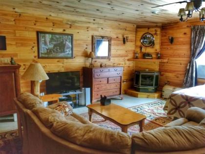 Holly Hill-Ocoee River Cabin Rental - image 14