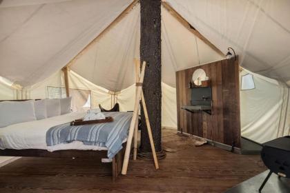 Under Canvas Glacier - image 15