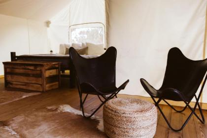 Under Canvas Glacier - image 5