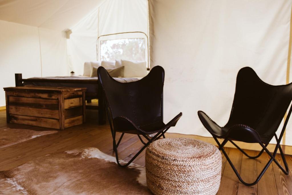 Under Canvas Glacier - image 5