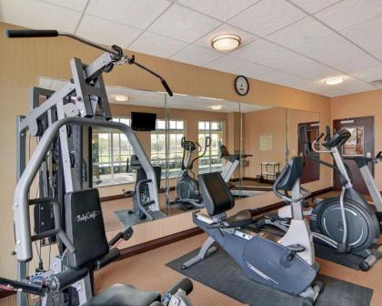Comfort Inn & Suites Near Lake Lewisville - image 10