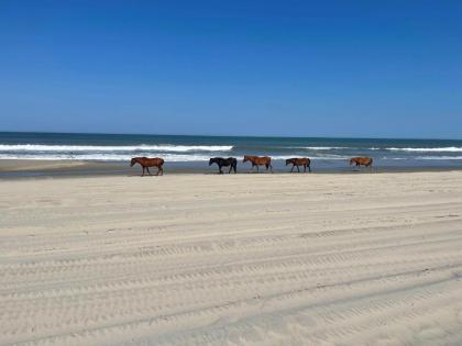 Oceanfront grandeur 4x4 Outerbanks -Hemingway - image 2