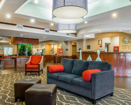 Comfort Suites Near Texas A&M Corpus Christi - image 2
