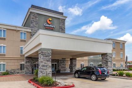 Comfort Suites Near Texas A&M Corpus Christi - image 4