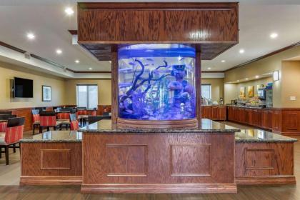 Comfort Suites Near Texas A&M Corpus Christi - image 5