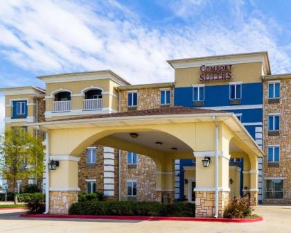 Comfort Suites Central - image 4