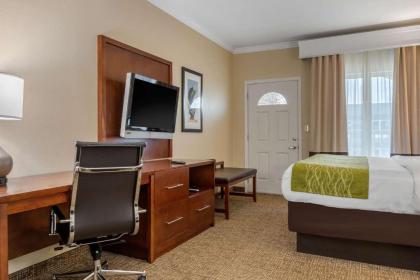 Comfort Suites Central - image 5