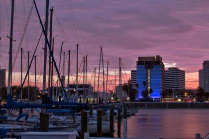 Best Western Corpus Christi - image 2